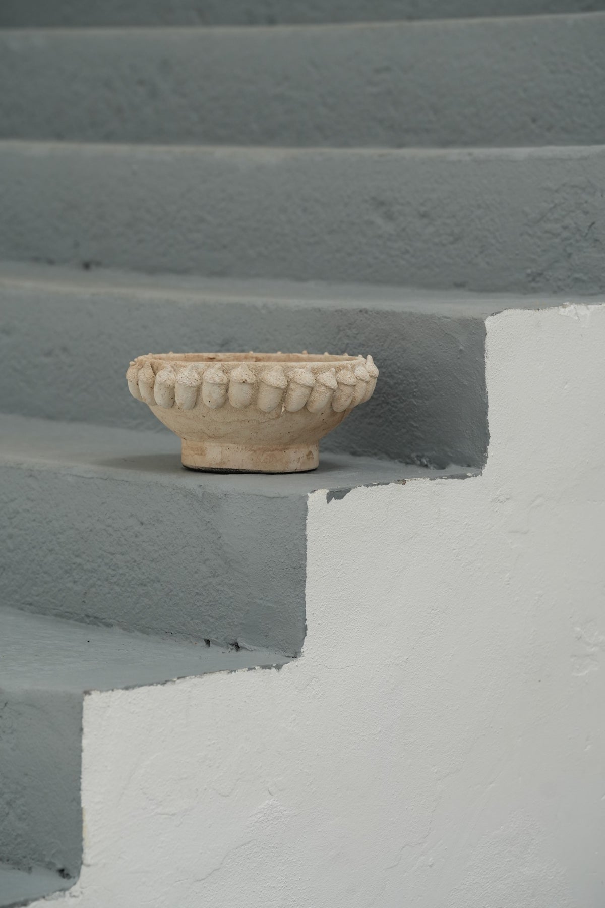 Taça Bolottas