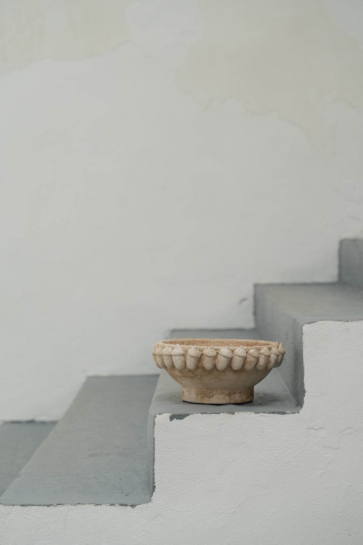 Taça Bolottas