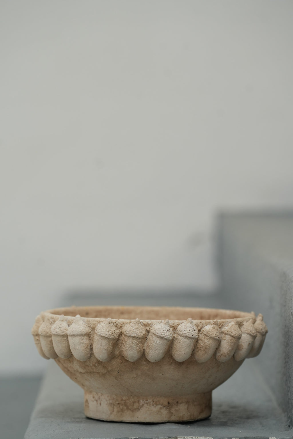 Taça Bolottas