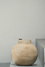 Jarra Orgânica